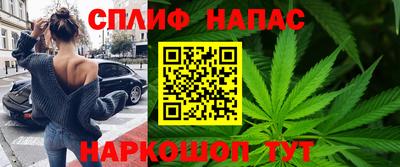 прущие грибы Комсомольск-на-Амуре