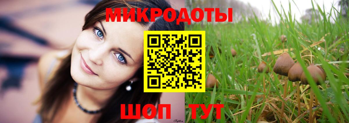 Псилоцибиновые грибы GOLDEN TEACHER Узловая