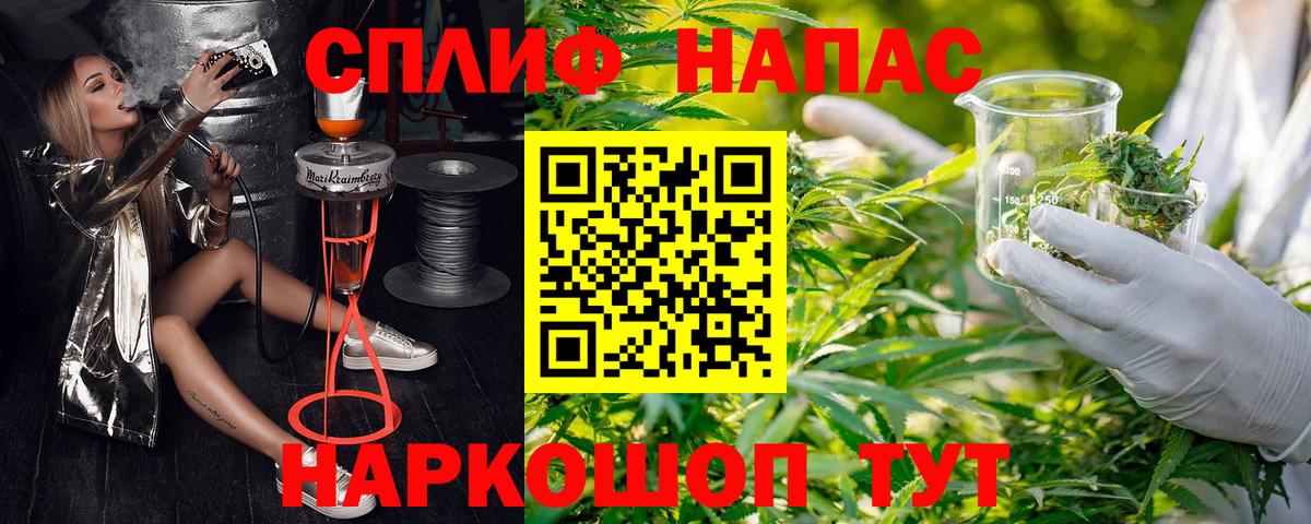 Бошки Шишки сатива  Вход с VPN  Бошки марихуана THC 21%  Узловая  Бошки марихуана планчик 